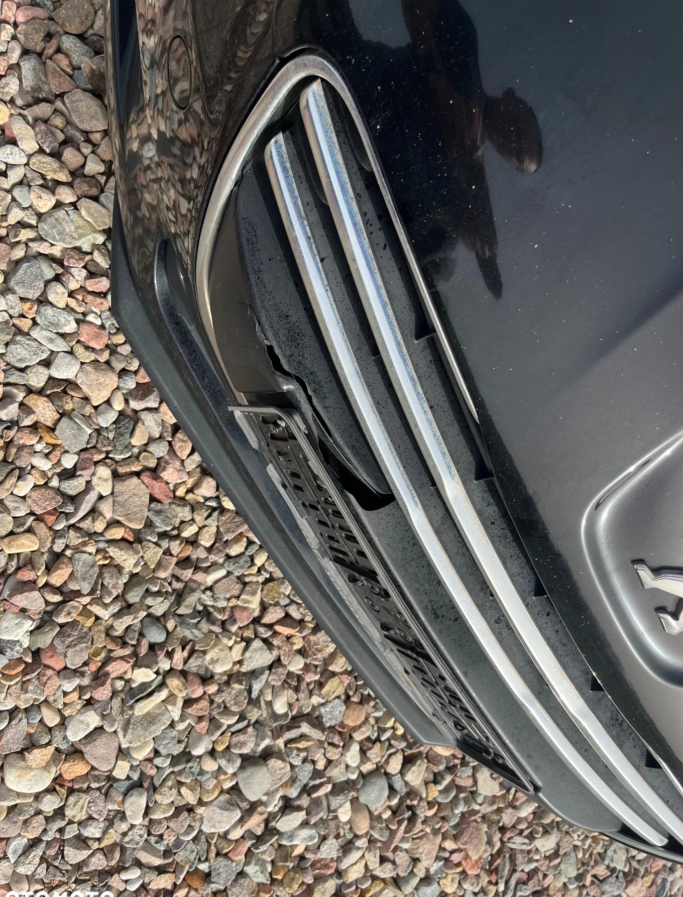 Peugeot 508 cena 20900 przebieg: 284487, rok produkcji 2014 z Zagórów małe 232